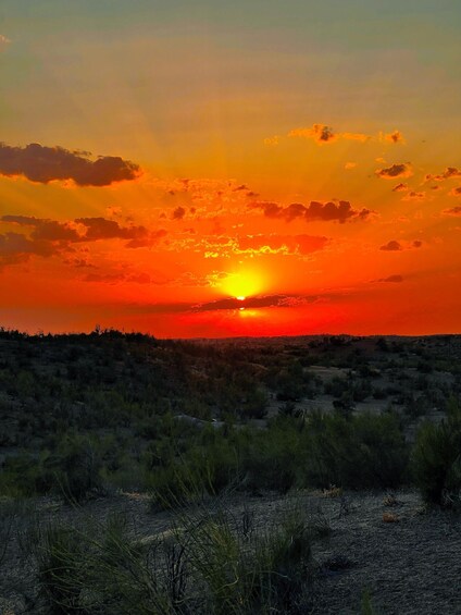 Un atardecer sobre un paisaje desértico con vegetación dispersa. 2