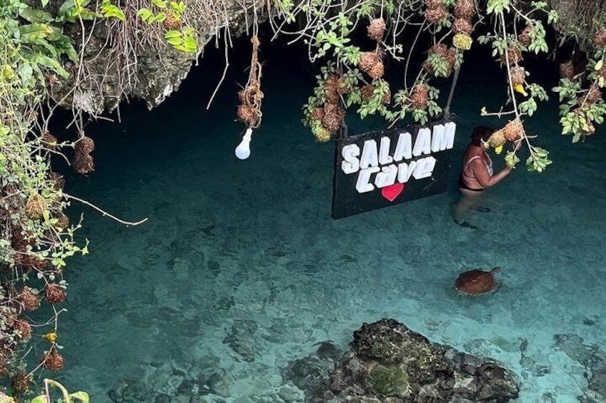 Una persona en traje de baño cerca de un cartel que dice 'Salaam Cave' con una tortuga en el agua. 1