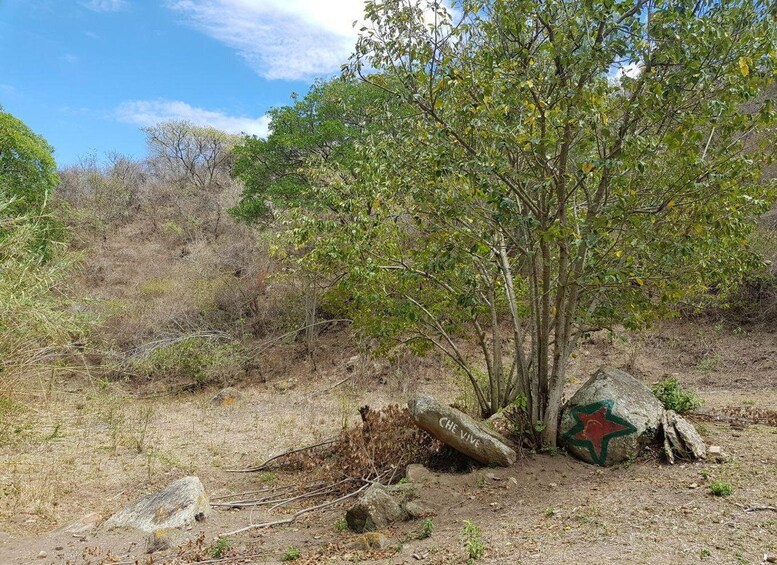 A dry, rocky terrain with sparse vegetation, a prominent tree, and a large rock with graffiti. 3