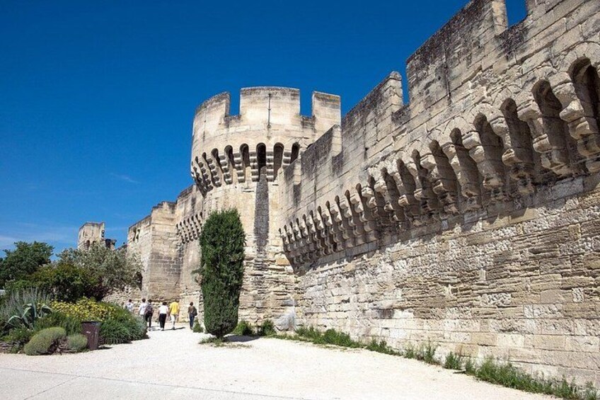 Avignon, Chateauneuf-du-Pape & Saint Remy de Provence private day 3