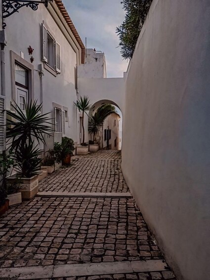 A narrow cobblestone alley with white buildings, arched doorways, and potted plants. 1