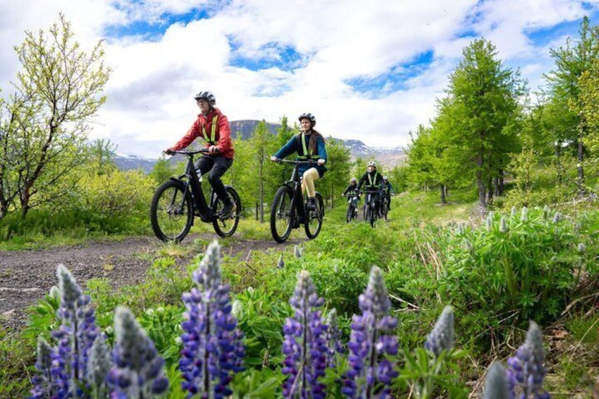 Guided E-Bike Tour in Isafjordur 1