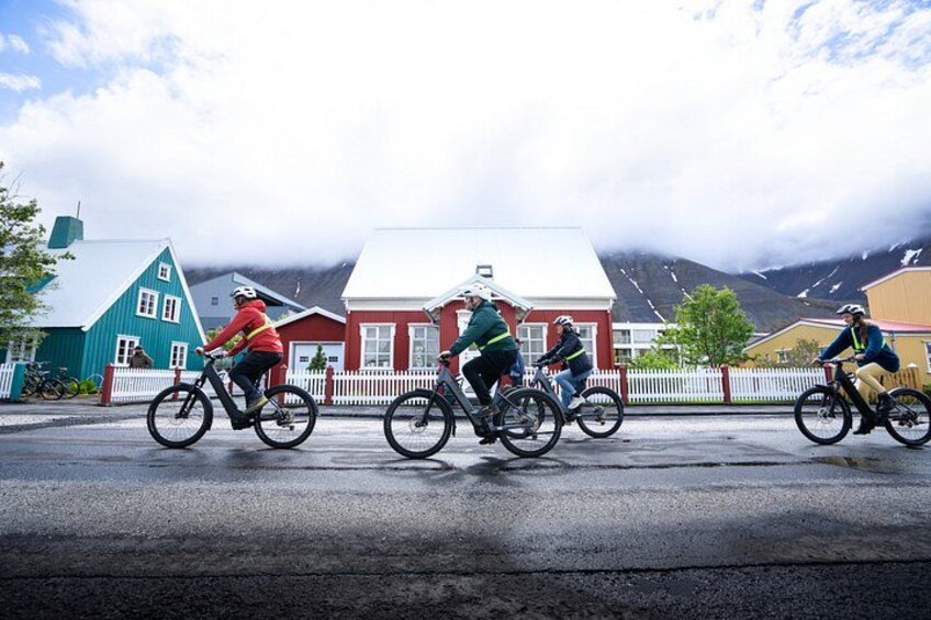 Cyclists riding on a road with houses and mountains in the background. 3
