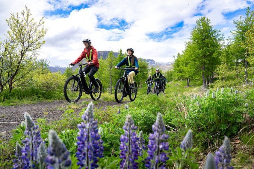 Tres ciclistas en un sendero rodeado de vegetación y flores silvestres. 1