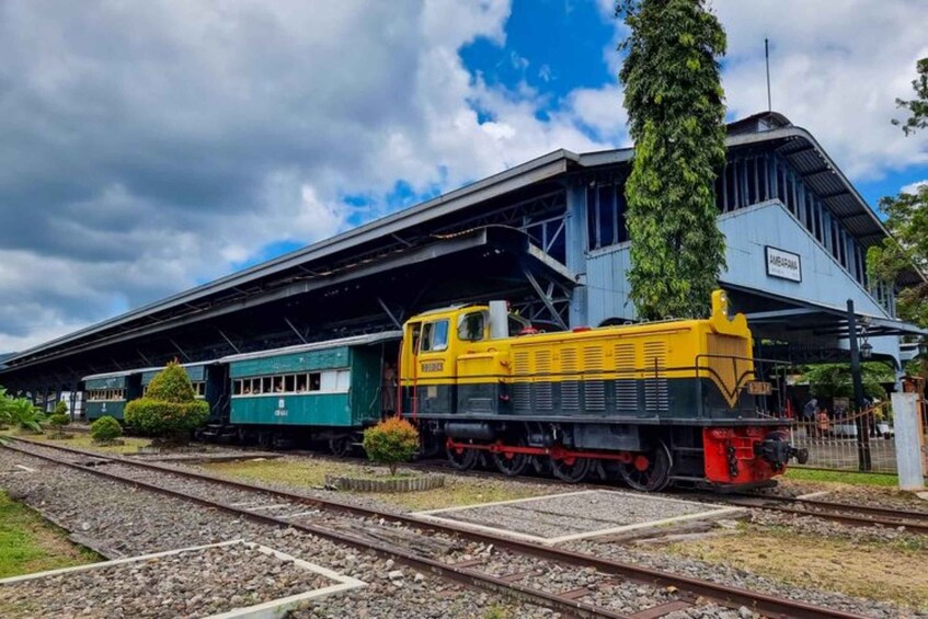 A yellow and green train at a station with a covered platform and a large tree nearby. 2