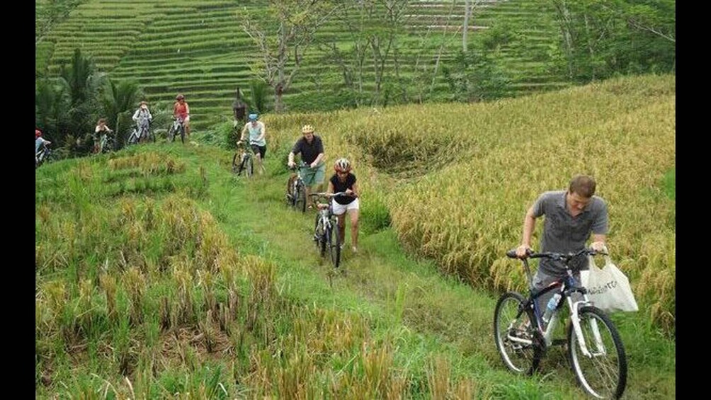 Picture 8 for Activity Yogyakarta; Borobudur Temple Structure & Cycling at Village 2