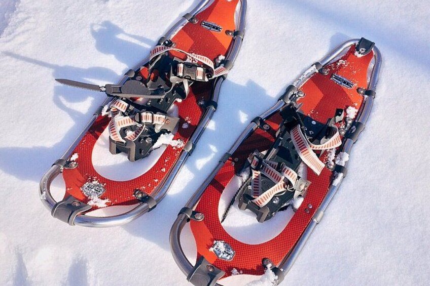 Dos raquetas de nieve rojas con estructura y sujeciones metálicas sobre nieve. 3