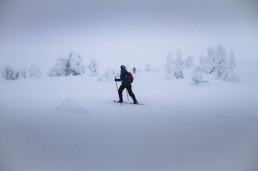 Una persona esquiando en una pendiente nevada con árboles al fondo. 2