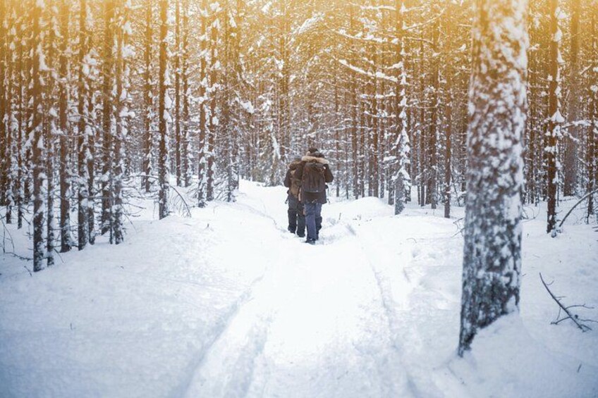Una persona caminando por un bosque nevado. 4