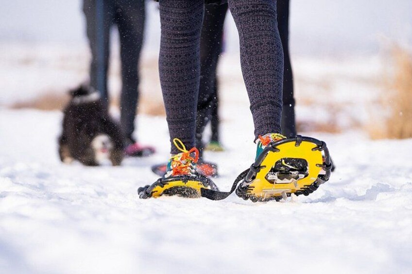 Personas caminando sobre nieve con raquetas. 5