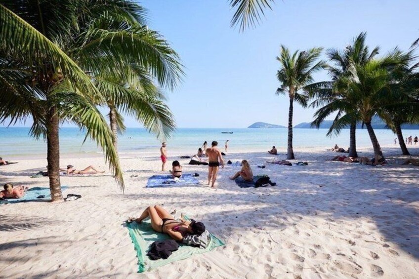Una playa con gente tomando el sol, palmeras y cielo despejado. 1