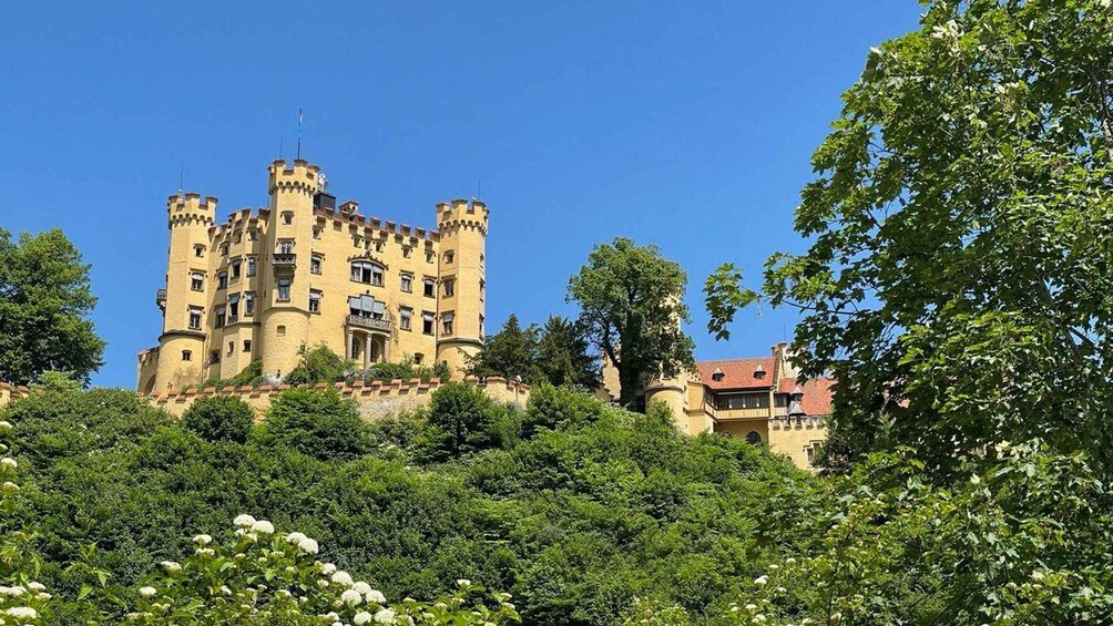 A castle with multiple towers, surrounded by lush greenery and trees. 3