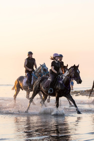 Picture 6 for Activity 45 min Horse Riding in Durres 2