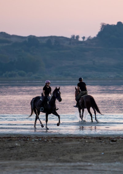 Picture 1 for Activity 45 min Horse Riding in Durres 2