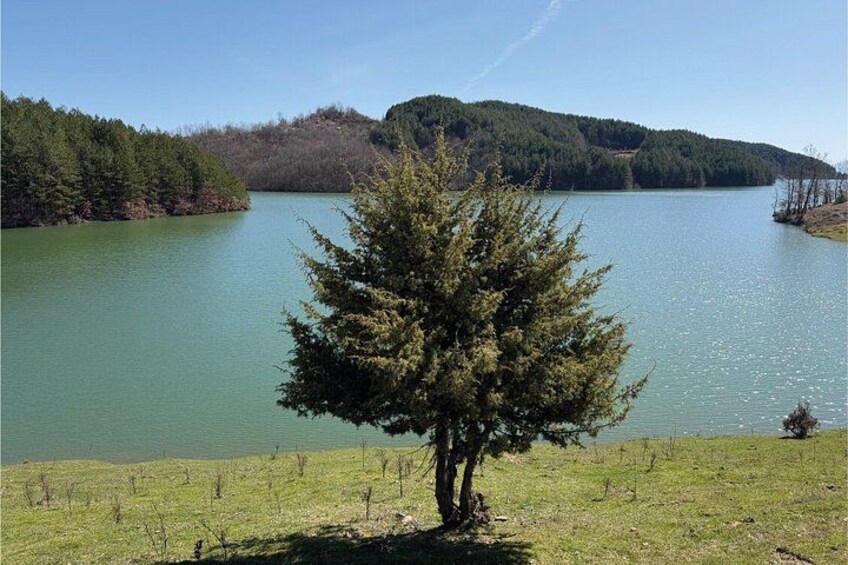Un lago rodeado de colinas boscosas, un árbol solitario en primer plano y un cielo despejado. 2