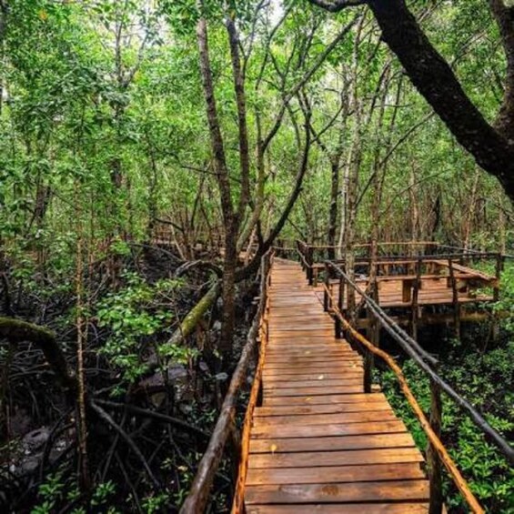 Picture 2 for Activity Zanzibar: Jozani Forest, Salaam Cave & Mtende Beach” 5