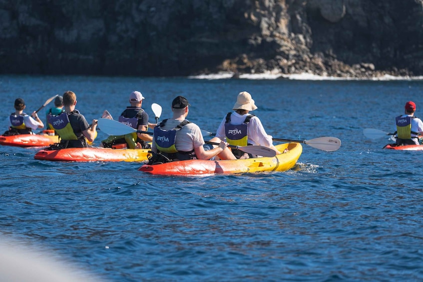 Picture 9 for Activity Tenerife: Kayak Safari & Snorkel in a Protected area 4