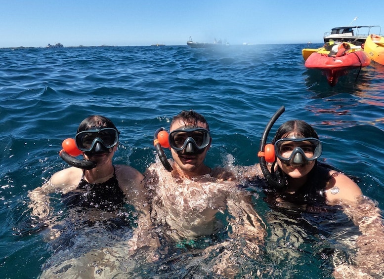 Picture 10 for Activity Tenerife: Kayak Safari & Snorkel in a Protected area 2
