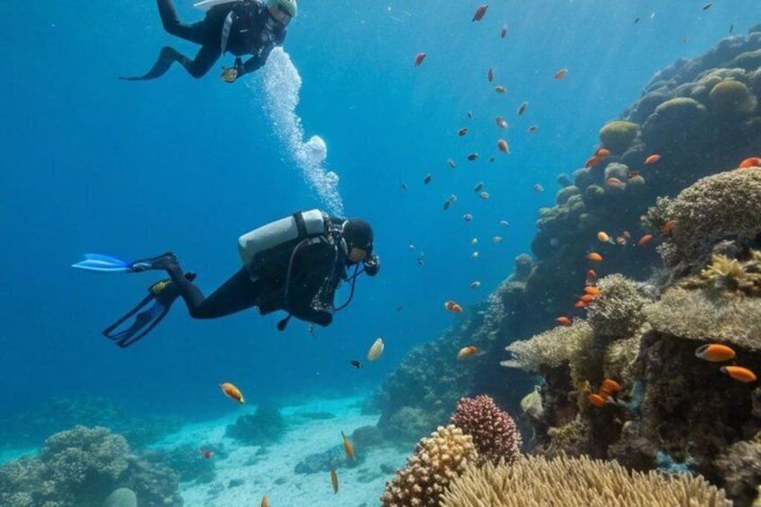 Hurghada Scuba Diving Experience with Coral Reefs, Lunch&transfer 2