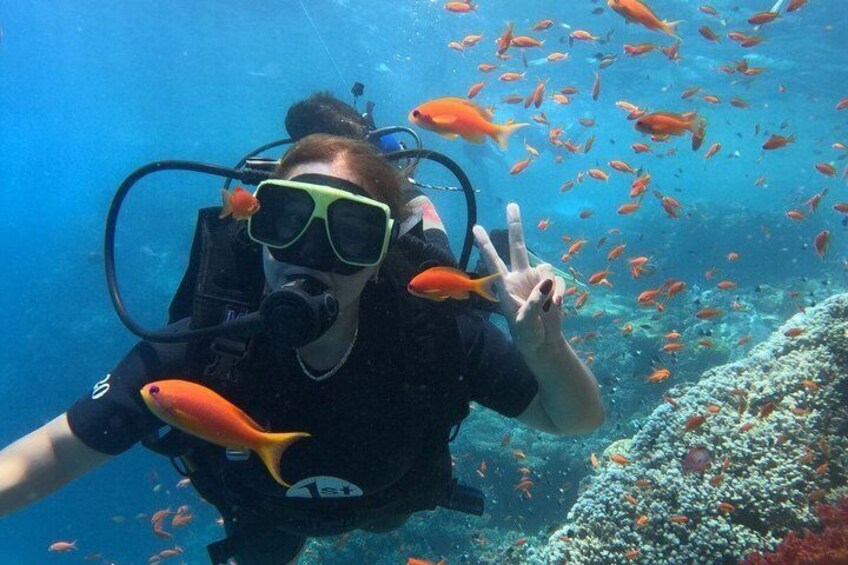 Hurghada Scuba Diving Experience with Coral Reefs, Lunch&transfer 3