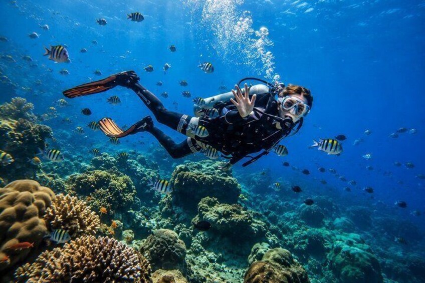 Hurghada Scuba Diving Experience with Coral Reefs, Lunch&transfer 5