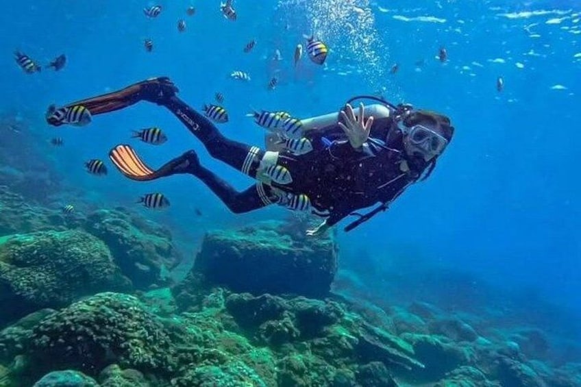 Ein Taucher mit Flossen und Sauerstofftank schwimmt zwischen Korallenriffen. 5