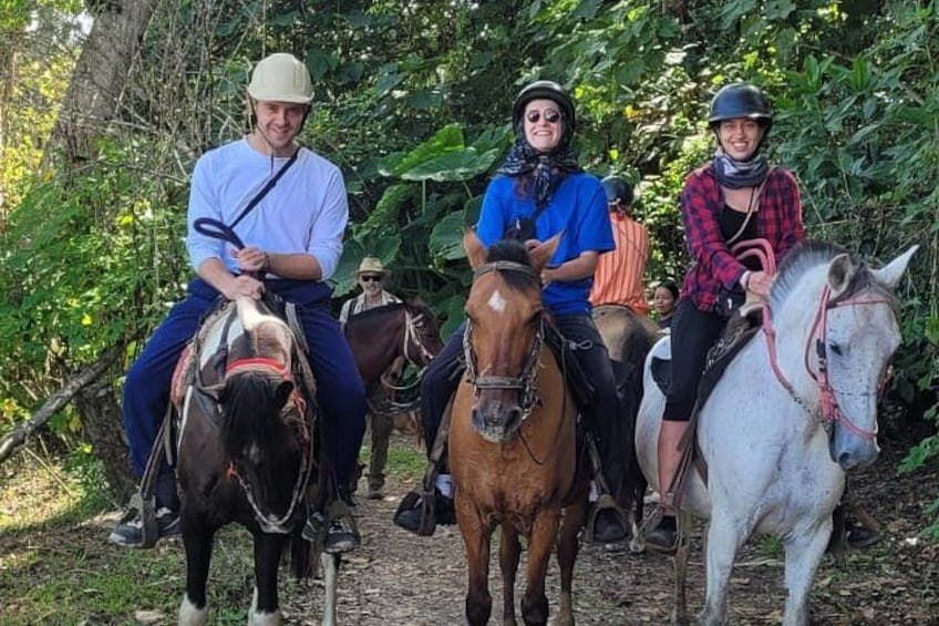 Drei Personen reiten Pferde auf einem Pfad, umgeben von viel Grün. 5