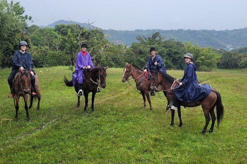 Vier Personen reiten Pferde durch ein grasiges Feld mit Bäumen und Hügeln im Hintergrund. 4