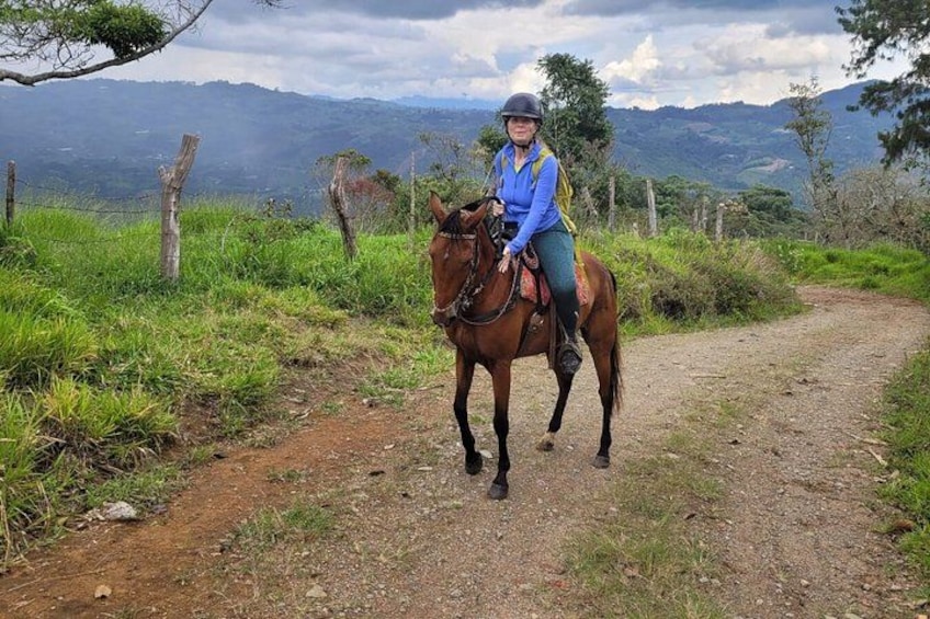 Eine Person reitet auf einem Pferd auf einem Feldweg vor einer gebirgigen Landschaft. 3