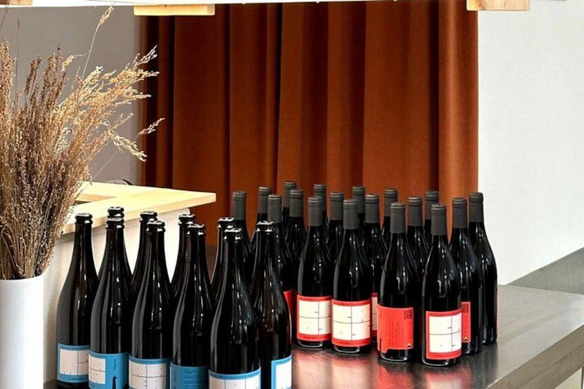 Caserta Winery Visit and Wine Tasting in Casertavecchia 5
