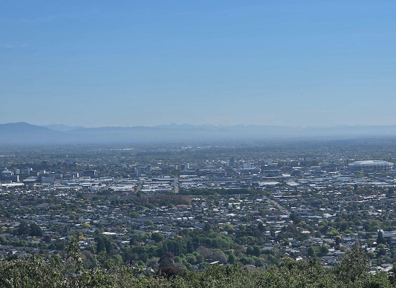 Picture 23 for Activity Christchurch Private Scenic Half day Private Tour LocalGuide 3