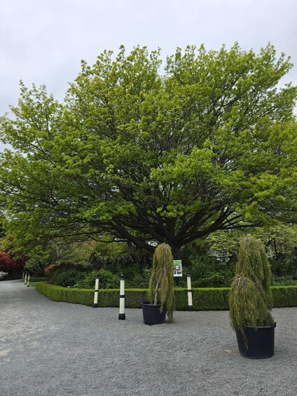 Picture 23 for Activity Christchurch Private Scenic Half day Private Tour LocalGuide 2