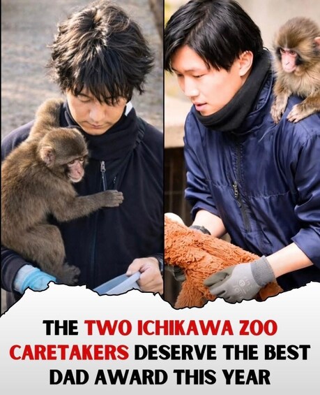 Picture 1 for Activity Tokyo: Ichikawa City Zoo Tour with Red Pandas & Punch-kun 1