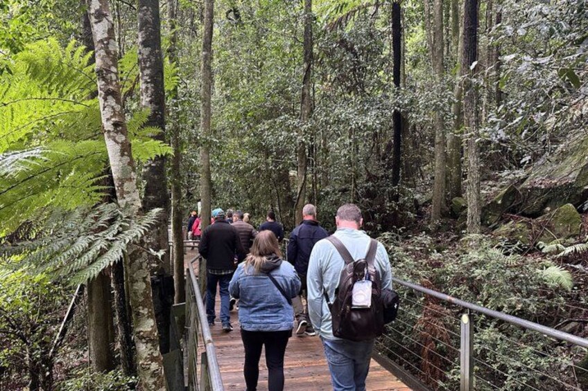 Blue Mountains Steam Train + 3 Sisters + Scenic World + SYD Ferry 3