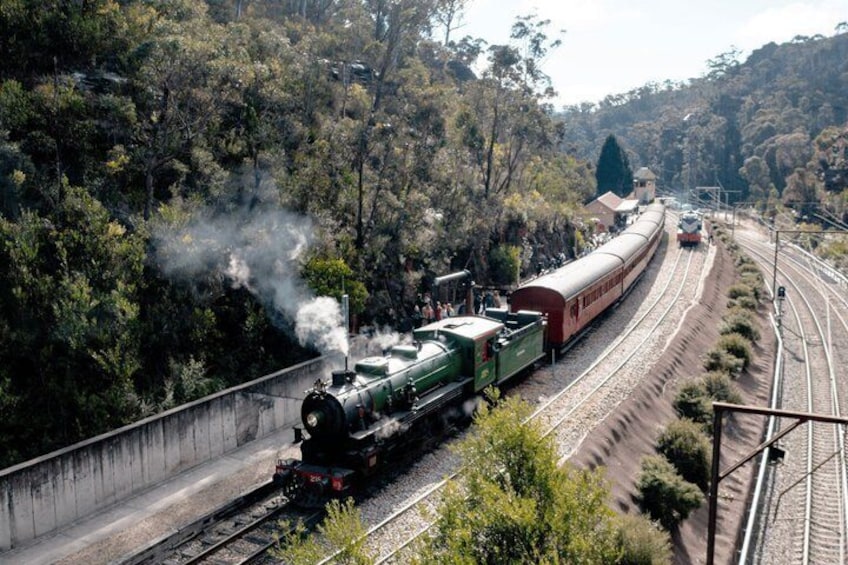 Blue Mountains Zig Zag Railway with Scenic World Tour 1