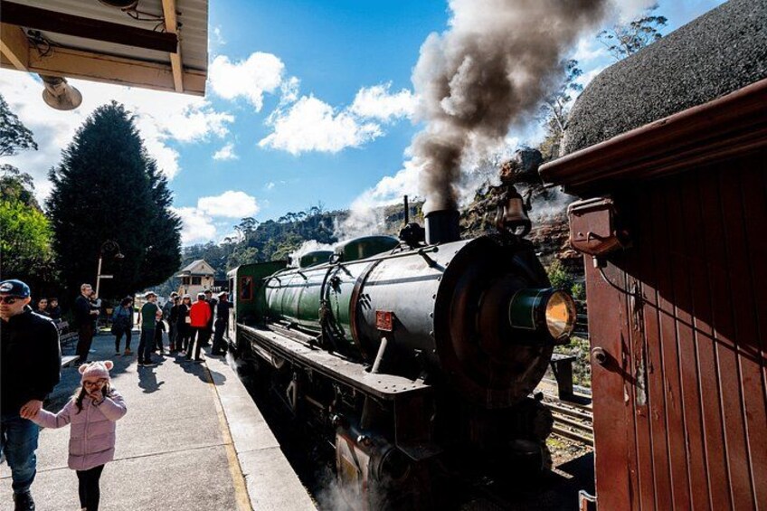 Blue Mountains Steam Train + 3 Sisters + Scenic World + SYD Ferry 4