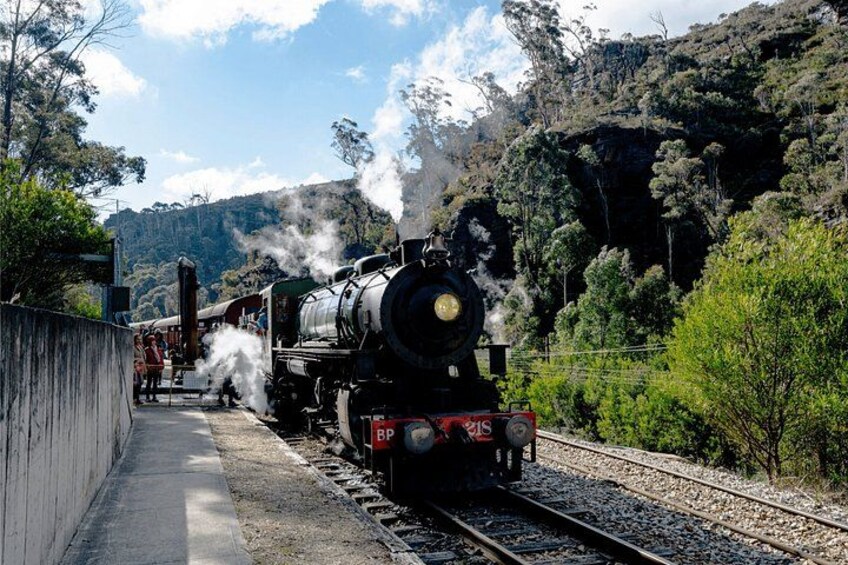 Blue Mountains Steam Train + 3 Sisters + Scenic World + SYD Ferry 4