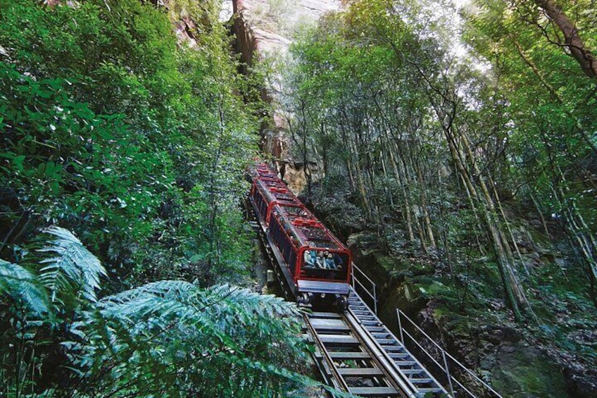 Blue Mountains Steam Train + 3 Sisters + Scenic World + SYD Ferry 5