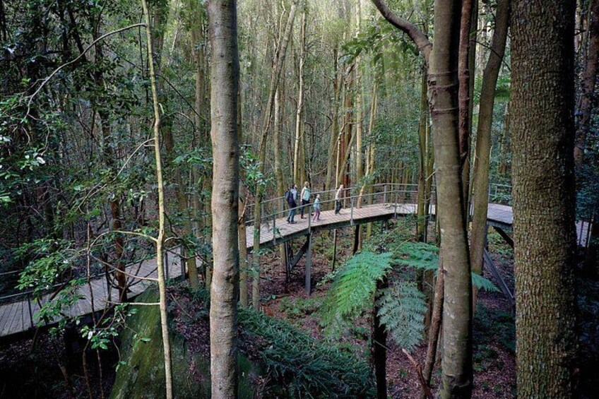 Blue Mountains Steam Train + 3 Sisters + Scenic World + SYD Ferry 4