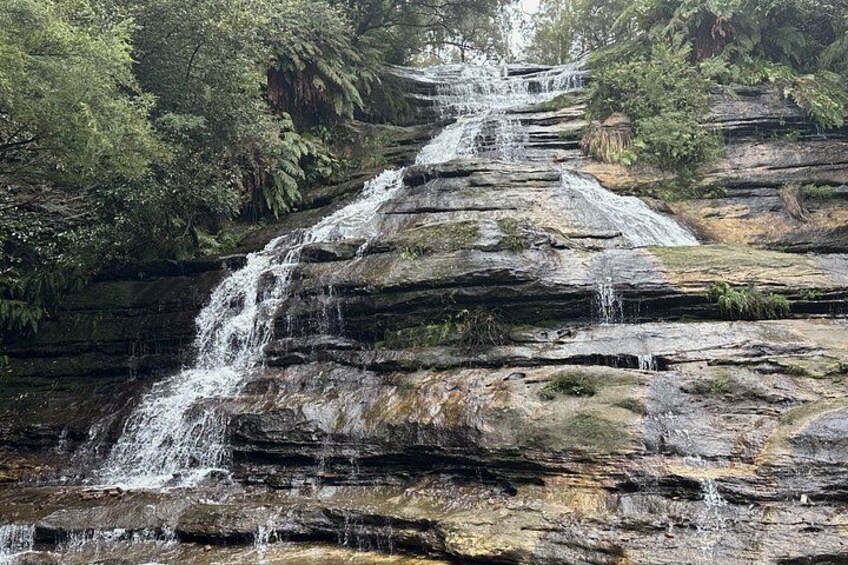 Blue Mountains Steam Train + 3 Sisters + Scenic World + SYD Ferry 3