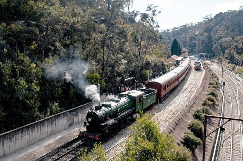 A green steam locomotive pulling a passenger train through a forested area with multiple tracks. 4