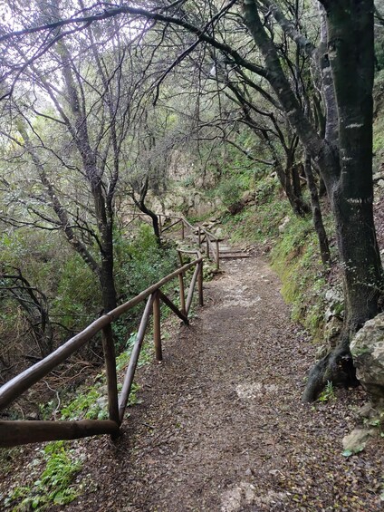A forested hiking trail with wooden railings and a rocky path. 3