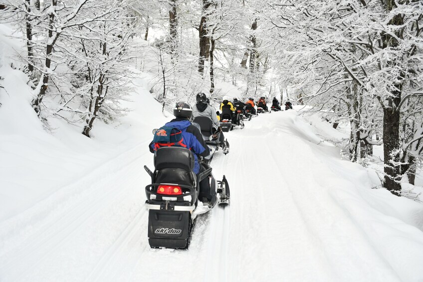 Un groupe de motoneiges sur une route enneigée traversant une forêt. 3