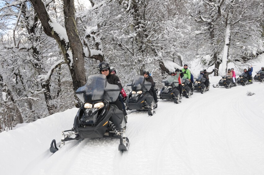 Un groupe de motoneiges sur une piste enneigée, entourée d’arbres. 5