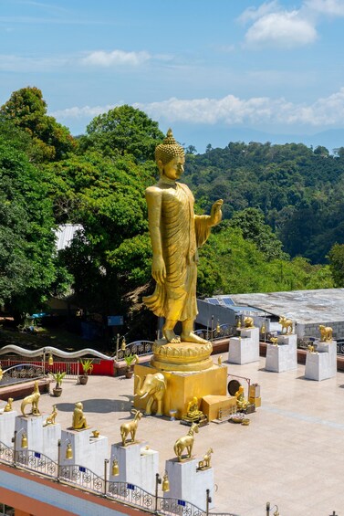 A large golden Buddha statue in a temple complex surrounded by smaller golden statues and a lush green forest backdrop. 3