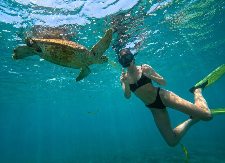 Picture 26 for Activity Mirissa: Whale Watching, Turtle Snorkeling, & Kayaking Tour 3