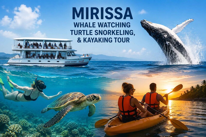Mirissa: Whale Watching, Turtle Snorkeling, & Kayaking Tour 1