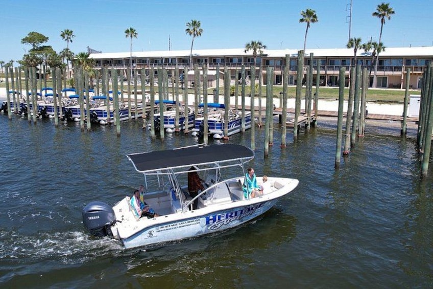 Private 3 hour Dolphin and Snorkeling Tour 2