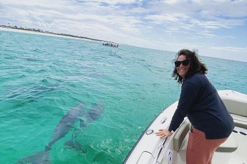 Private 3 hour Dolphin and Snorkeling Tour 5