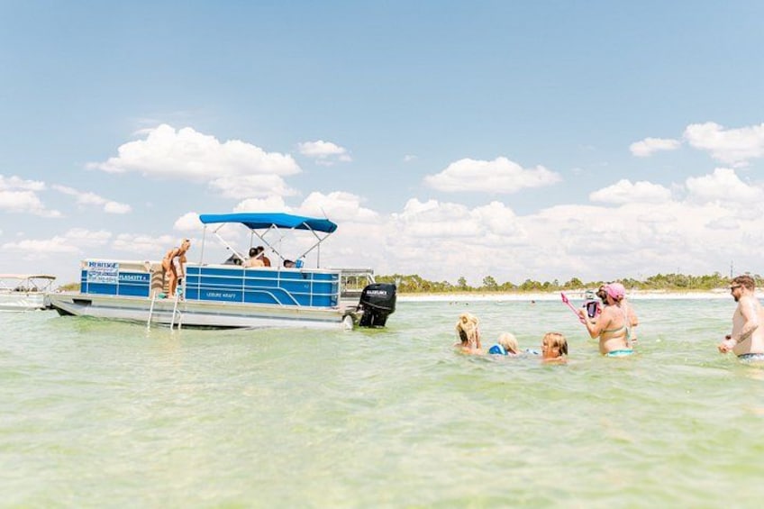 Private 3 hour Dolphin and Snorkeling Tour 3